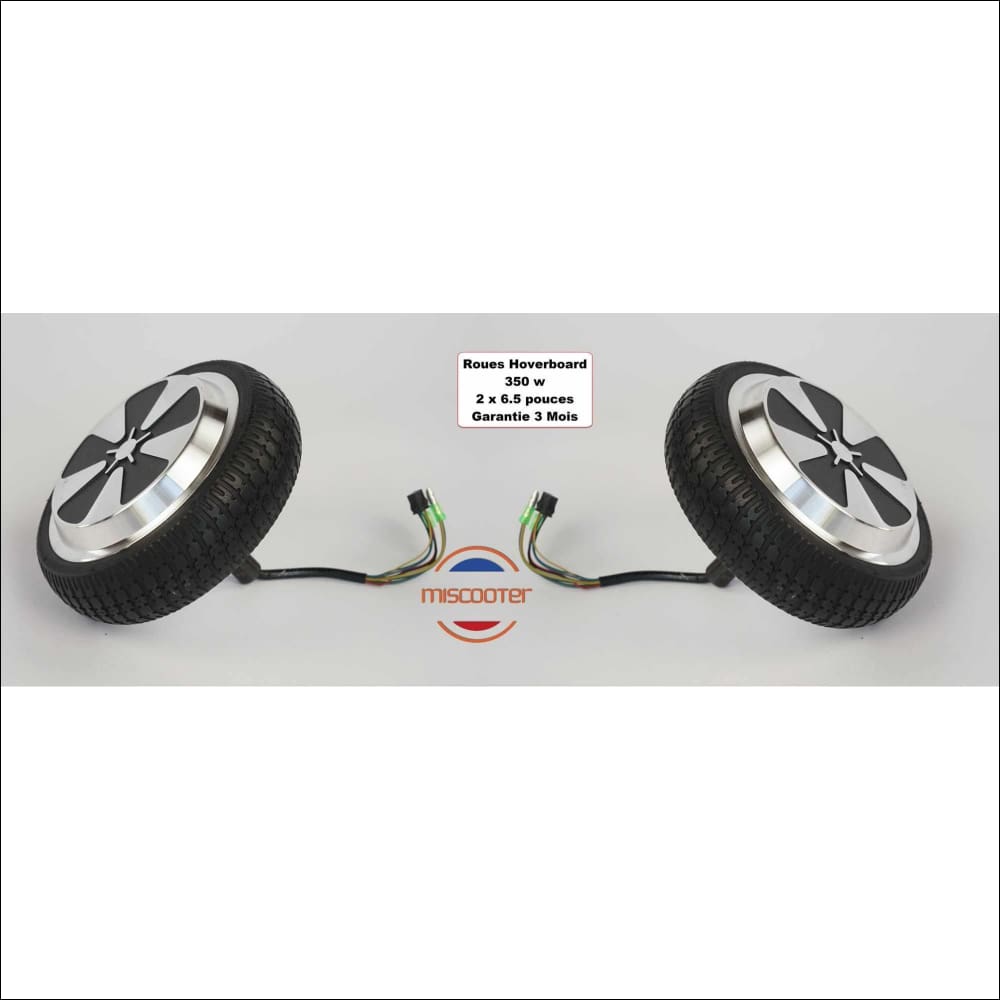 Moteur roue hoverboard 6.5 inch 350 W Miscooter moteur