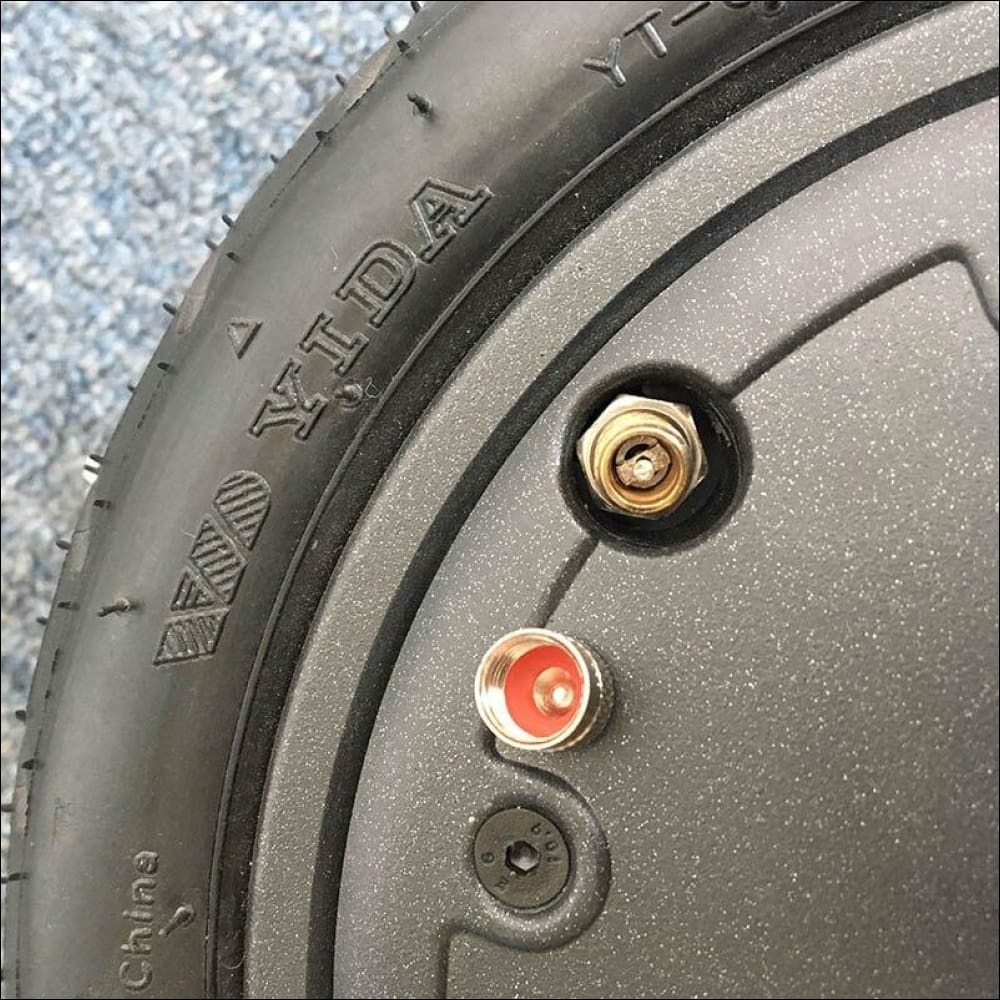 Roue moteur TrottMi clone m365 250W 36V Miscooter Trottmi
